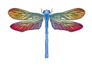 Dragonfly Café
